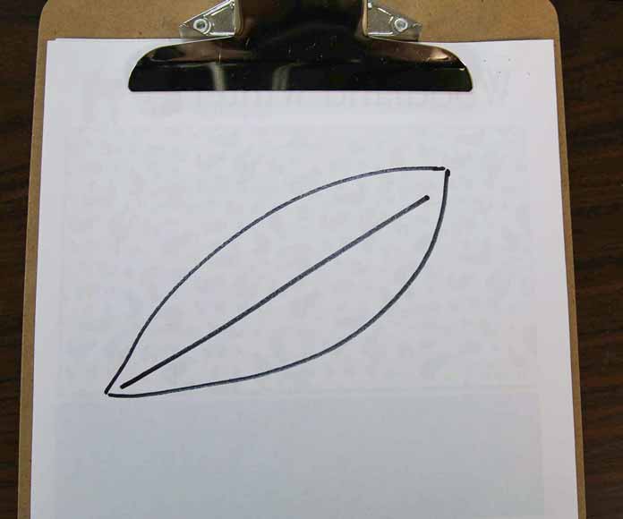 Leaf shape with a boring straight line through the middle