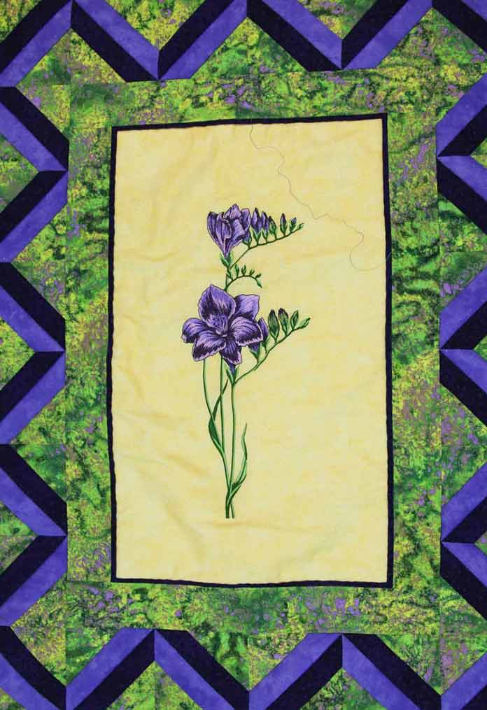 The center block has puffed up because the outer borders are quilted and the center is not.