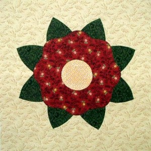 Apliquick Practice Block