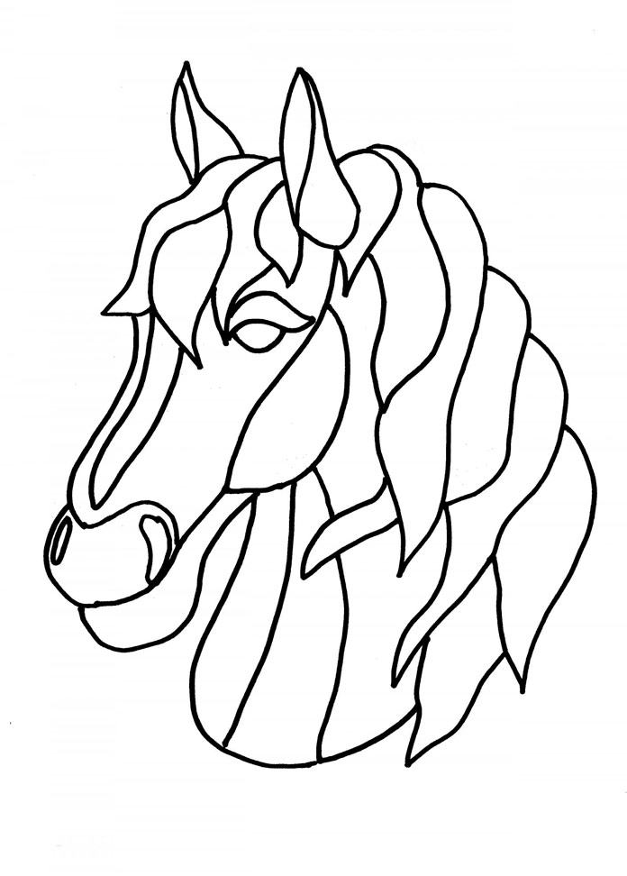 Horse head drawing