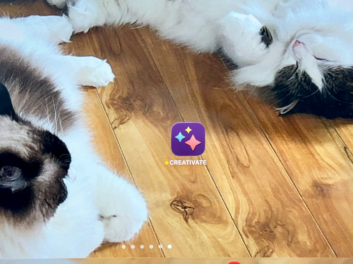 iPad screen, zoomed in to show a screensaver of 2 kitties on a wood floor, and the creativate app icon