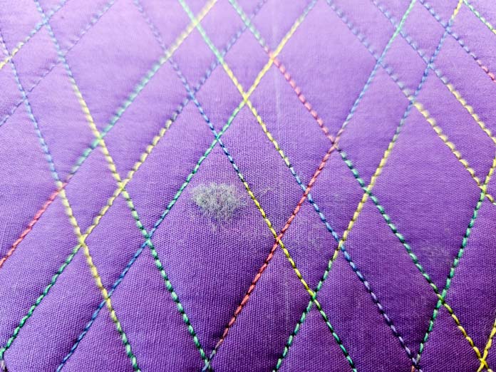 Lint on purple fabric with multi-colored thread