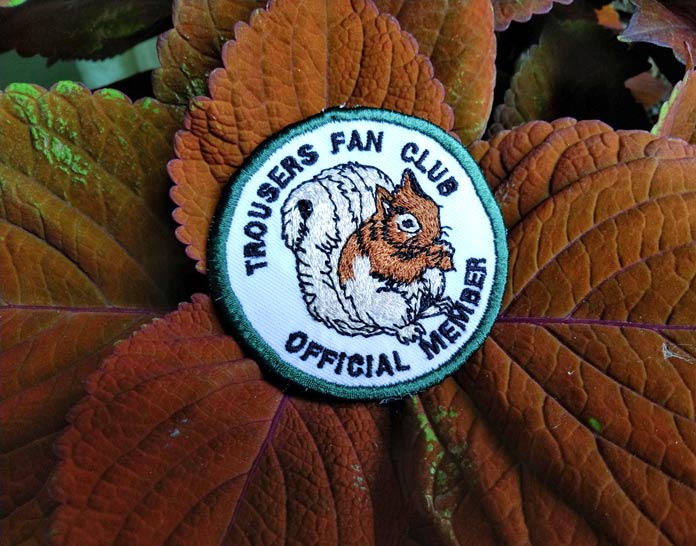 Trousers the Squirrel patch completed and sitting on a leaf for display. Brother Luminaire XP1, Brother ScanNCut