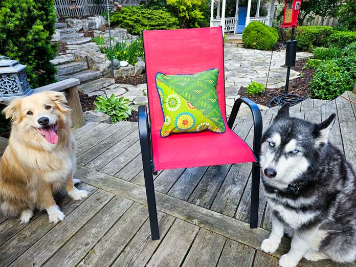 Two dogs sitting beside a green cushion in a red chair; Gütermann Nostalgia Box - 50wt Cotton Thread 100m - 48 Shades, Gütermann Nostalgia Box, Flat Felled Foot 9mm, Husqvarna VIKING Opal 690Q, free sewing pattern, outdoor accessories, outdoor cushions, piping, Husqvarna VIKING 8” Bent Trimmer