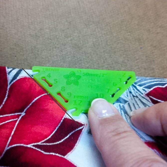 Position of closed plate on poinsettia fabric