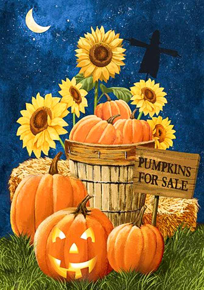 Pumpkins for sale panel from Northcott