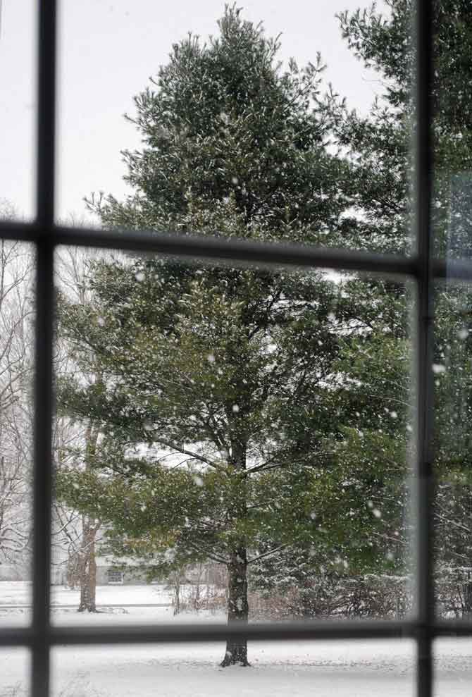 The wintery scene from my studio window